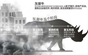 小心，中國產(chǎn)業(yè)園區(qū)的“灰犀?！庇謥砹?！